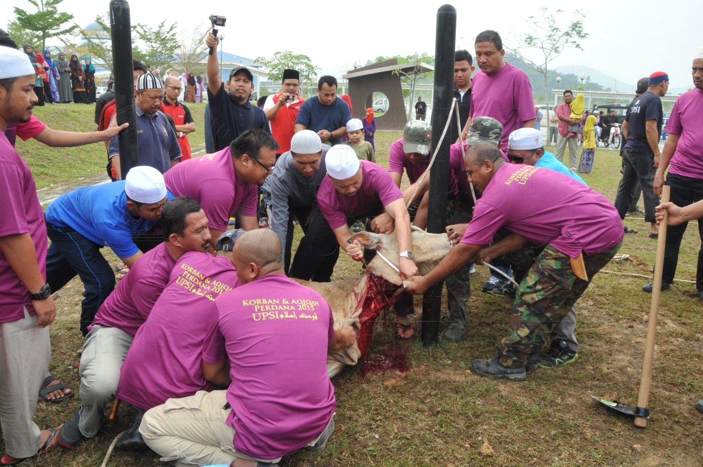 PRO15 150 KORBAN HAS 6710